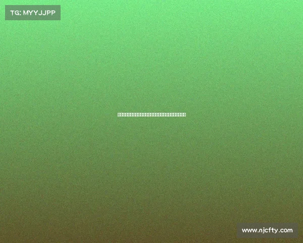 网球赛事安排全面解析：从赛程到规则助你轻松掌握比赛节奏